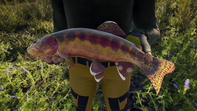 Call of the Wild The Angler: o jogo de pesca em mundo aberto foi lançado, algumas fotos em vídeo 4K