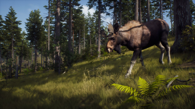 Way of the Hunter: um jogo de caça em mundo aberto, apenas para PC, PS5 e Xbox Series