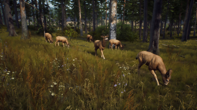 Way of the Hunter: un juego de caza de mundo abierto, solo en PC, PS5 y Xbox Series