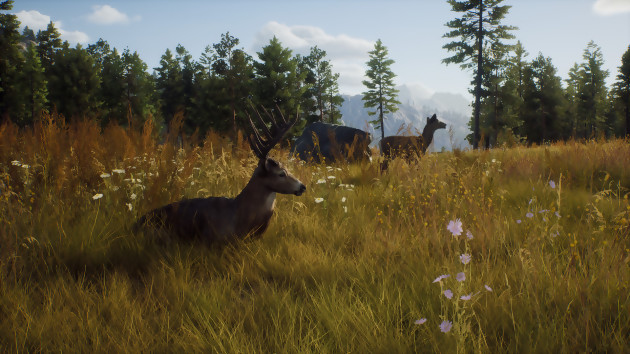 Way of the Hunter: un juego de caza de mundo abierto, solo en PC, PS5 y Xbox Series