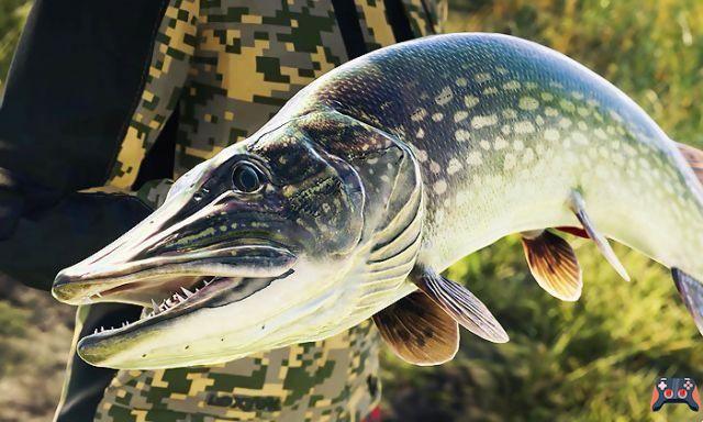 Call of the Wild The Angler: una data di uscita per il primo gioco di pesca open world